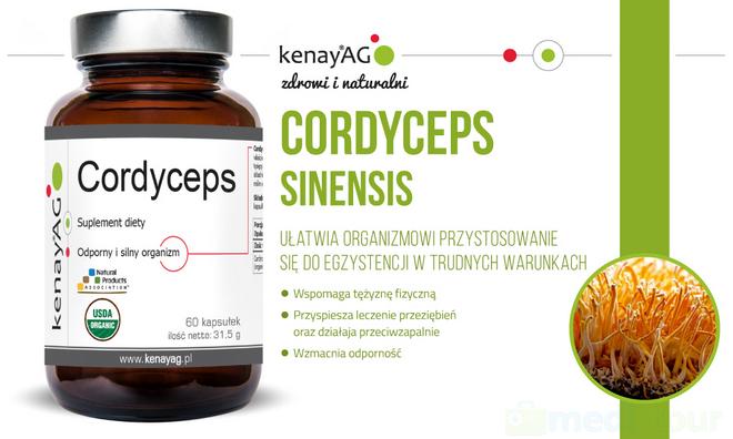 kenayag-cordyceps