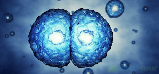 Komórki macierzyste w leczeniu zwyrodnienia stawów
