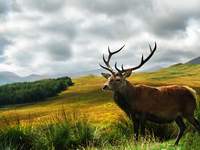  Turystyka Medyczna Podkarpacie Bieszczady