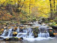  Turystyka Medyczna podkarpackie Bieszczady