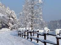  Turystyka Medyczna Śląsk Beskid